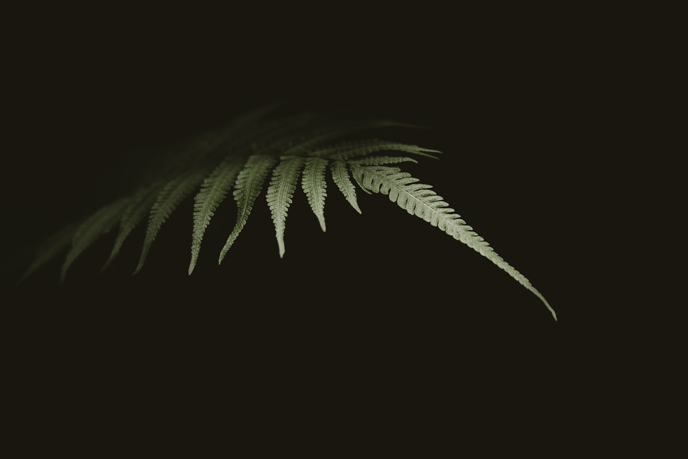 Daily Update - June 15th