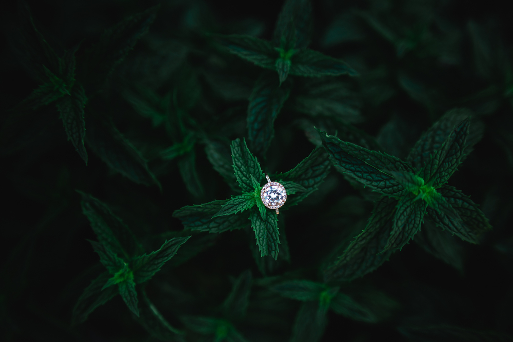 Daily Update - August 18th