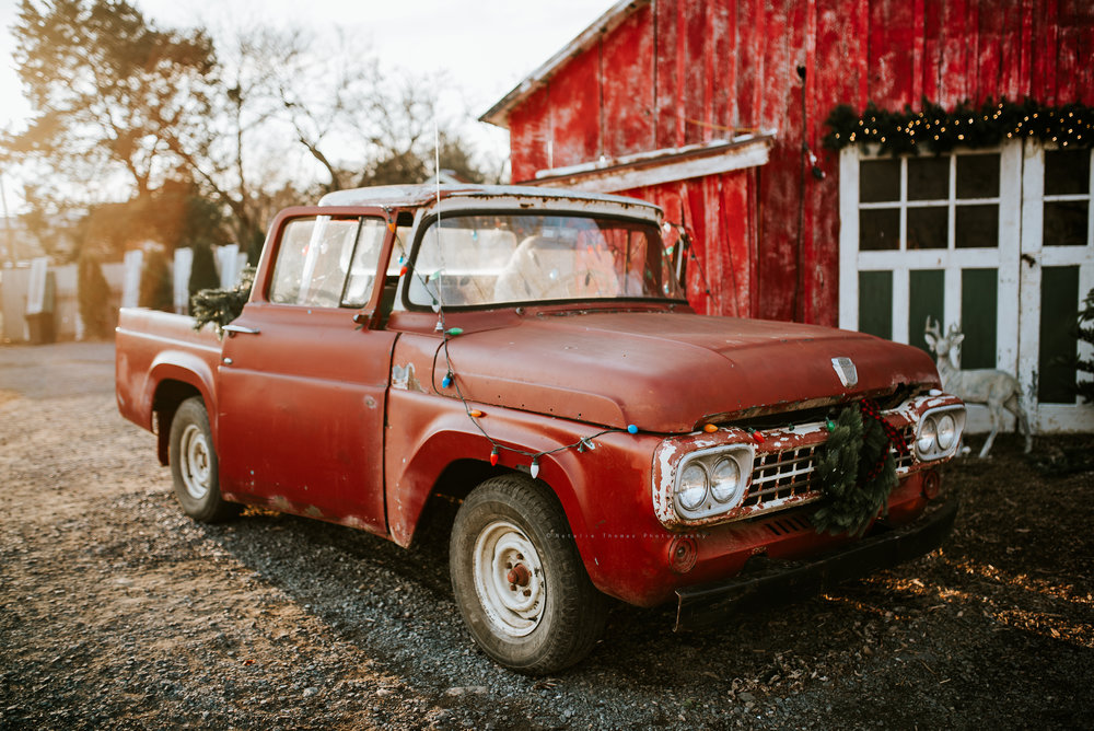 Daily Update - February 22nd